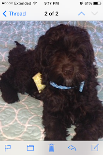 Throw Back Thursday….